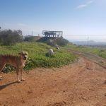 באלו דף הבית (1)